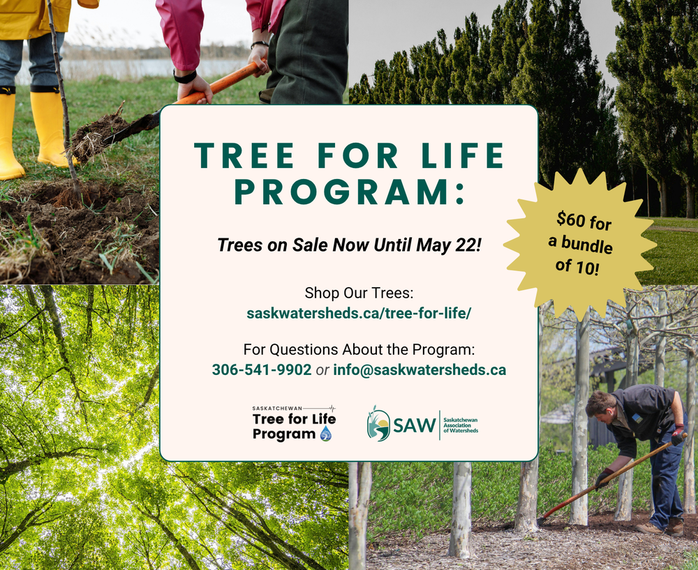Saskatchewan Watershed Trees for Life Program