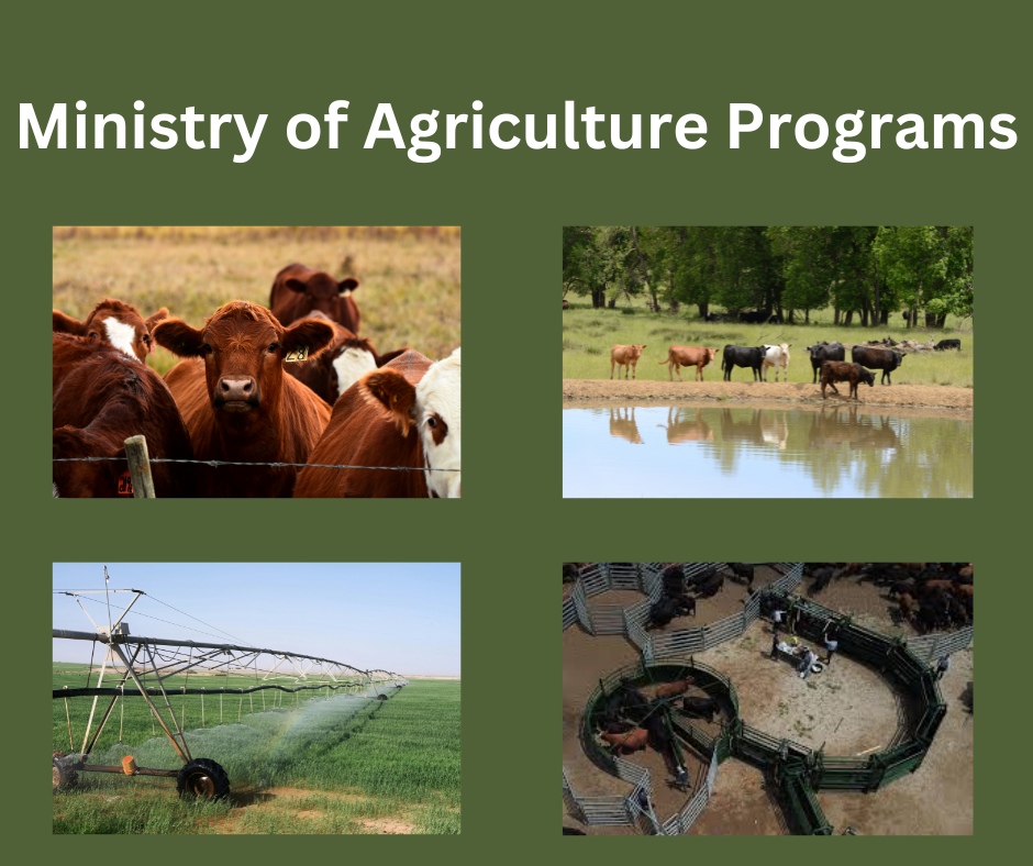 Ministry of Agriculture Programs